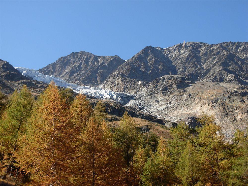 Hotel Tenne Saas Fee Dış mekan fotoğraf